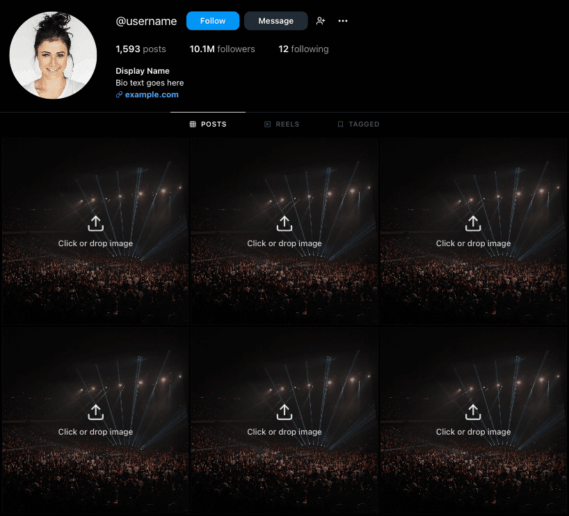 Instagram Profile